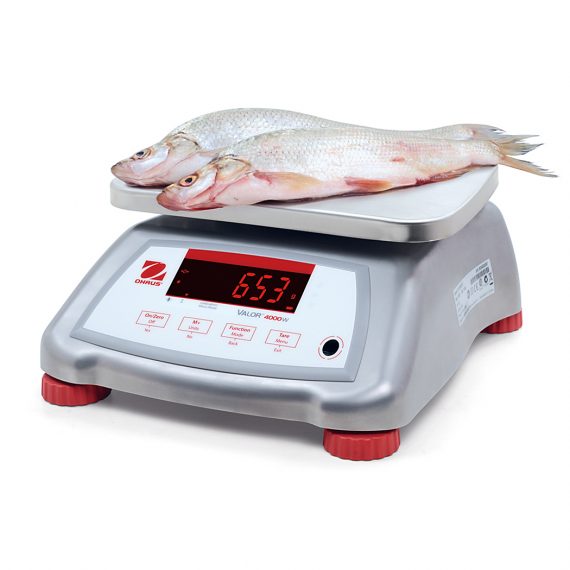 OHAUS V41XWE3T 4