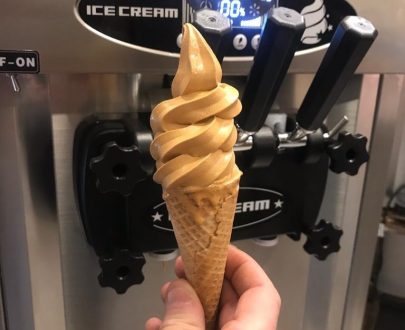 VENTUS VSP-25 PRO 2.0