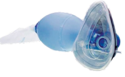 GREETMED ADULTO 1 GREETMED ADULTO