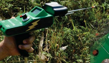 ELECTROSCOPE REGULATOR DIGITAL