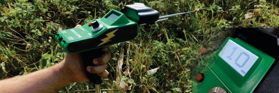 ELECTROSCOPE REGULATOR DIGITAL 4