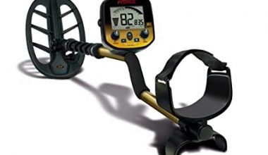 FISHER  Gold Bug-DP 1