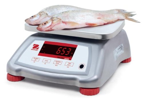 OHAUS V22XWE3T 4
