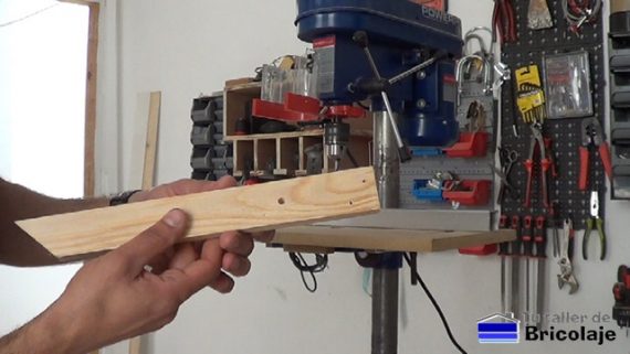CATTINI BDP – 16HF 2