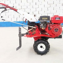 PANTHER 3TG-6
