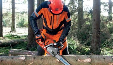 HUSQVARNA 365