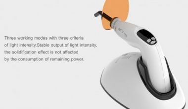 Woodpecker LED F