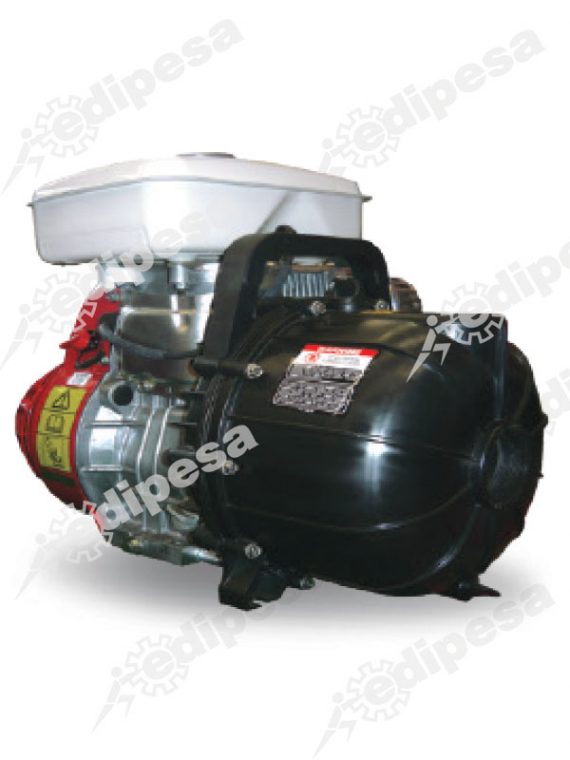 PACER Se2pL/SH265 1 PACER Se2pL/SH265