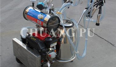 PANTHER YZ-IIG 1