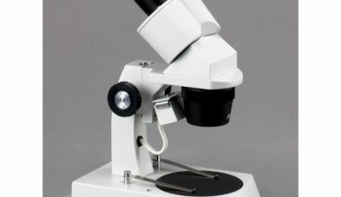 AMSCOPE Se306-az-e2