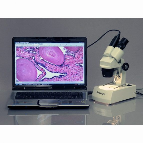 AMSCOPE Se306-az-e2 4