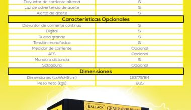 BALLACK DG15000SE (380V)