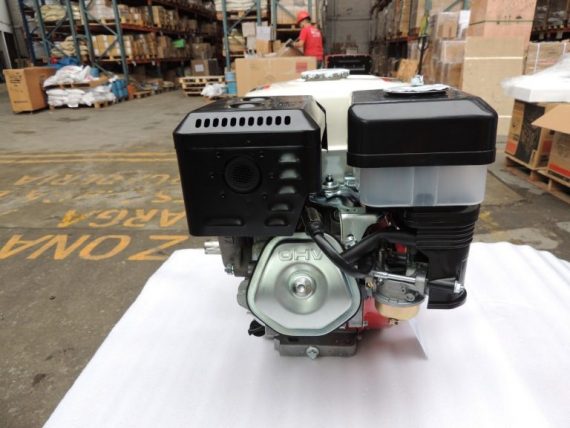 CATTINI RI177N 2