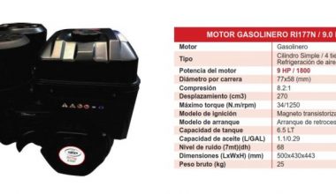 CATTINI RI177N